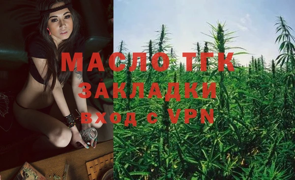 гидра Богданович