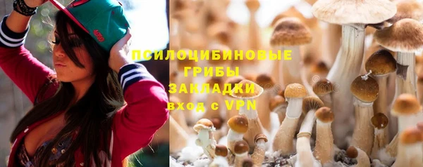 тгк Богородицк
