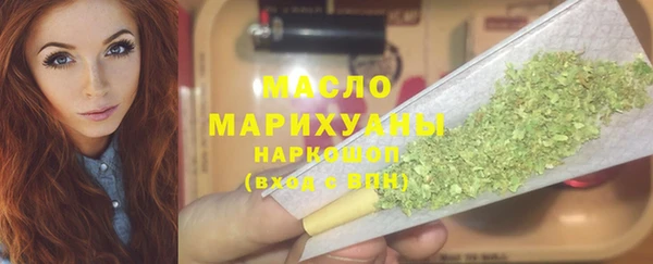 гидра Богданович
