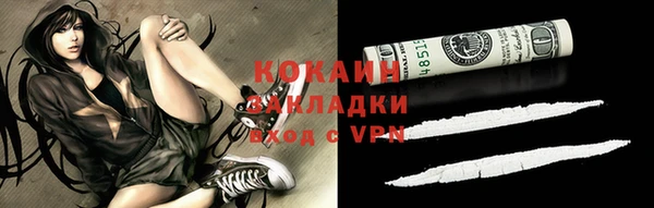 тгк Богородицк