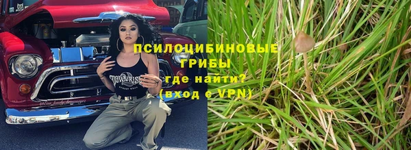 тгк Богородицк