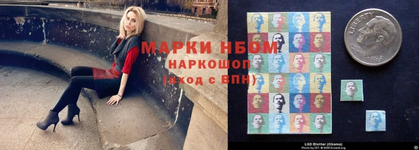 гидра Богданович