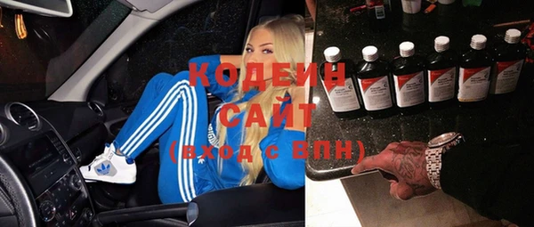 гидра Богданович