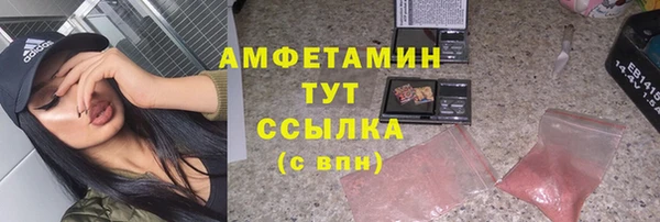 гидра Богданович